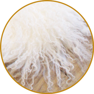Tibetlammfelle Weiß